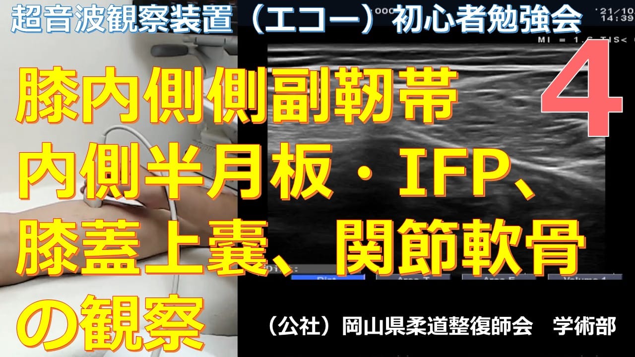第4回 超音波観察装置初心者勉強会 膝内側側副靭帯 内側半月板 Ifp 膝蓋上嚢 関節軟骨の観察 公益社団法人 岡山県柔道整復師会